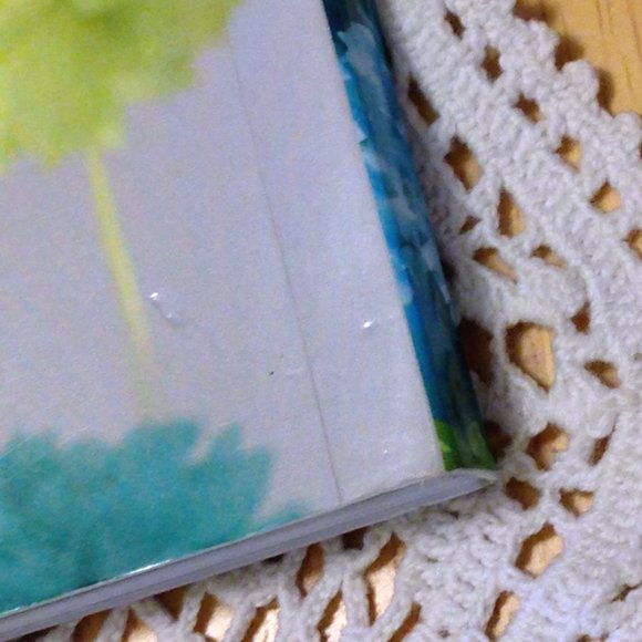 Crafts Book - Paper Pompoms - Picture 10 of 11